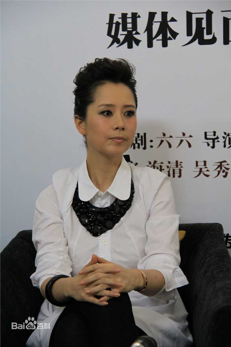 最新海清(Christina)在2011年《心术》新闻发布会中的壁纸