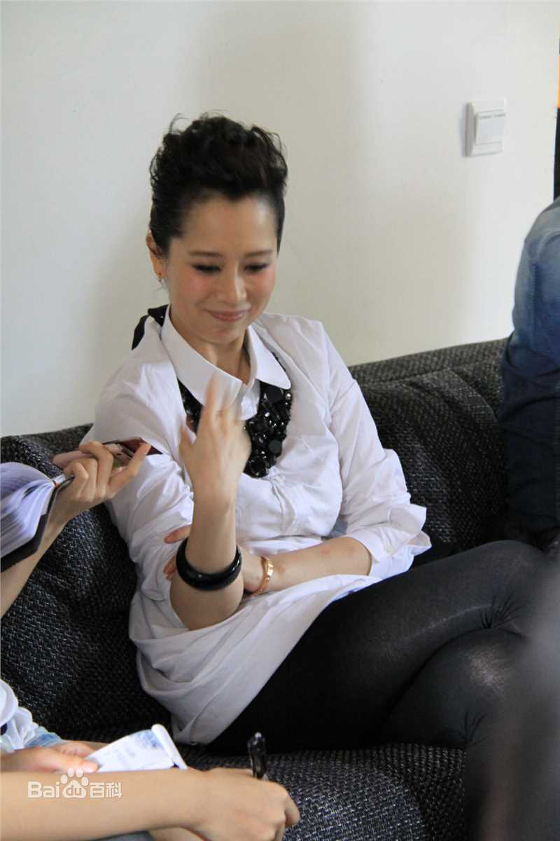 最新海清(Christina)在2011年《心术》新闻发布会中的壁纸