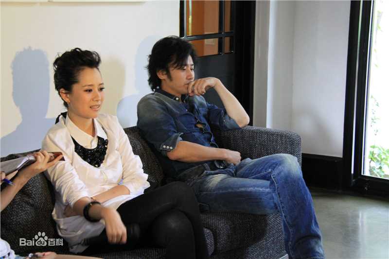 最新海清(Christina)在2011年《心术》新闻发布会中的壁纸