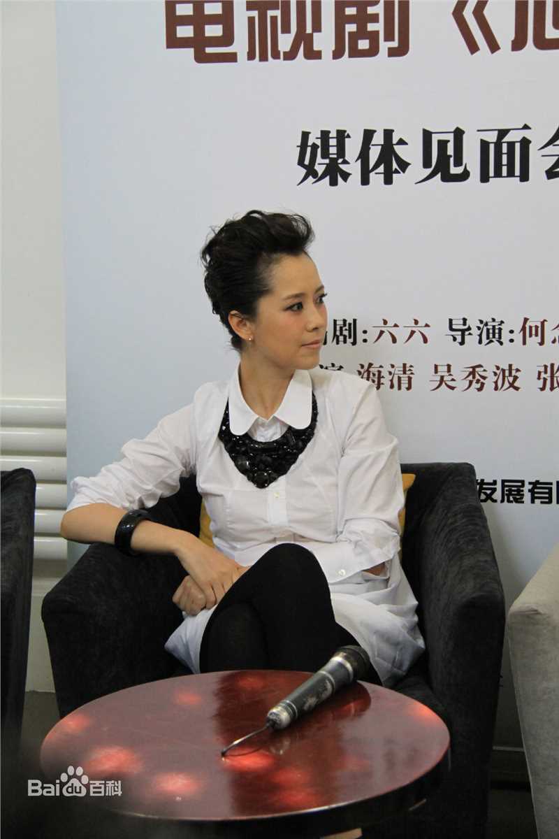 最新海清(Christina)在2011年《心术》新闻发布会中的壁纸