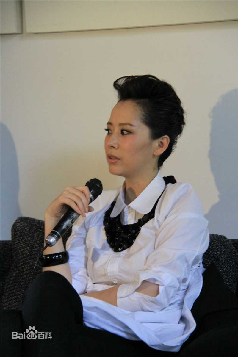 最新海清(Christina)在2011年《心术》新闻发布会中的壁纸