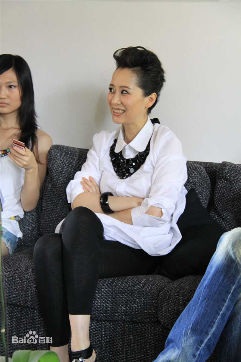 最新海清(Christina)在2011年《心术》新闻发布会中的壁纸