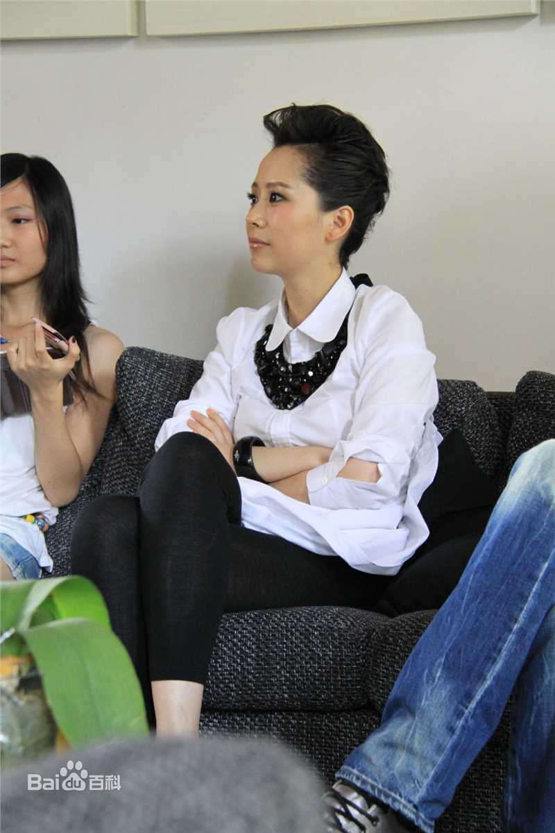 最新海清(Christina)在2011年《心术》新闻发布会中的壁纸