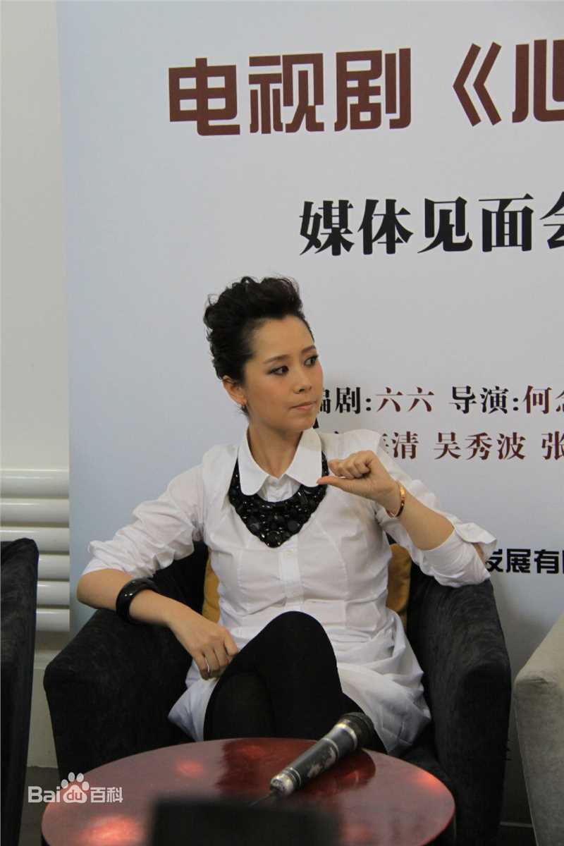 最新海清(Christina)在2011年《心术》新闻发布会中的壁纸