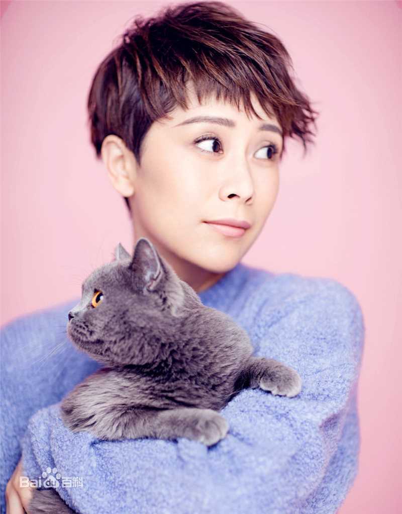 海清(Christina)前后照片