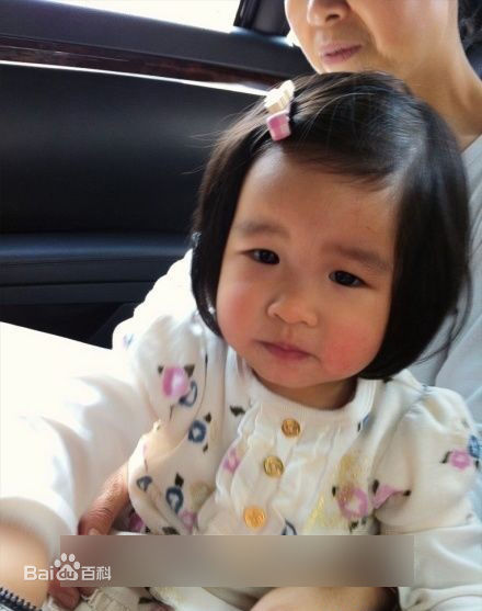 黄磊(Huang Lei)综合照壁纸壁纸