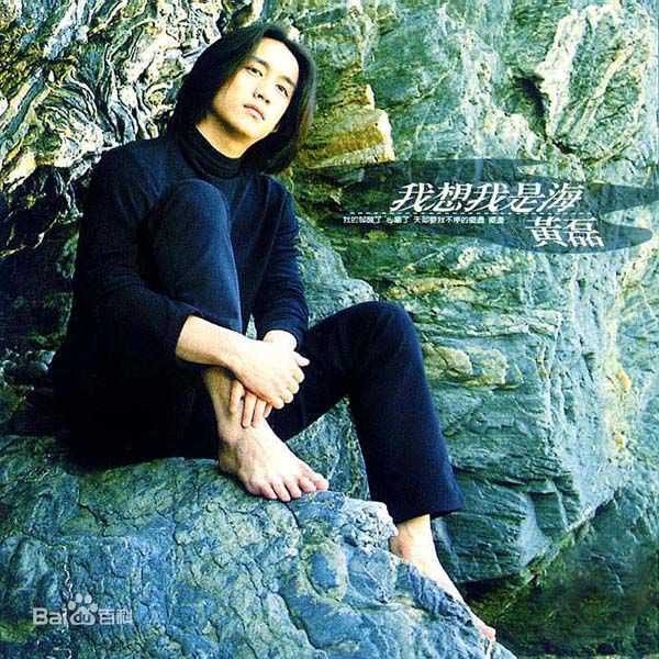 最新黄磊(Huang Lei)性感图片