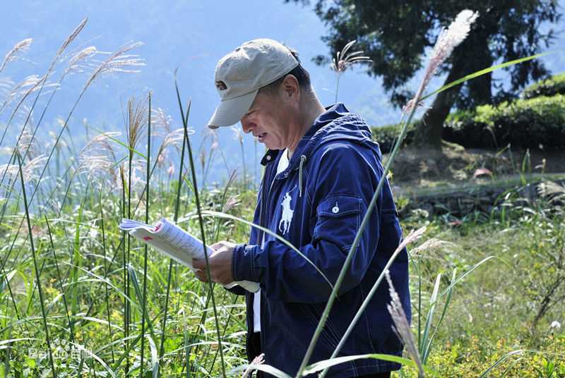 王响伟王导在拍摄现场图册