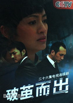 袁英明指导电影电视高清海报图册