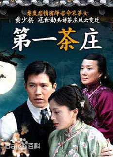 袁英明指导电影电视高清海报图册