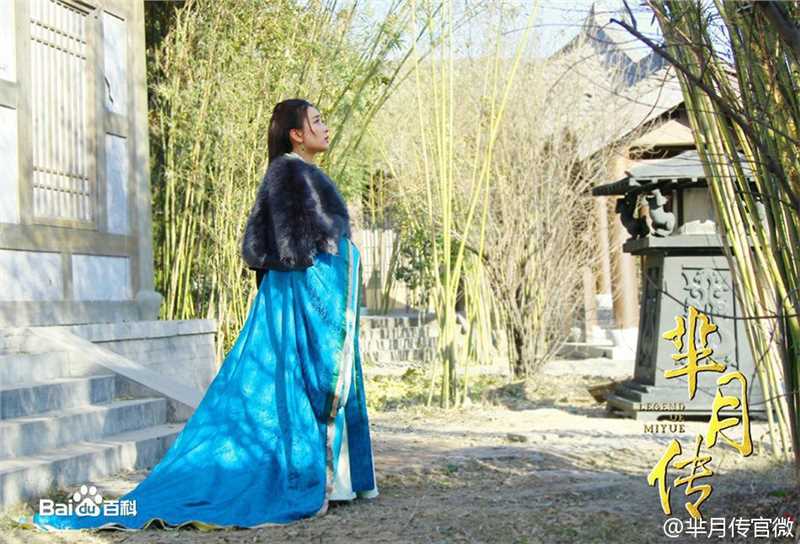 马苏芈月传-魏琰图册