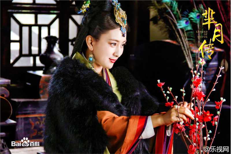 马苏芈月传-魏琰图册