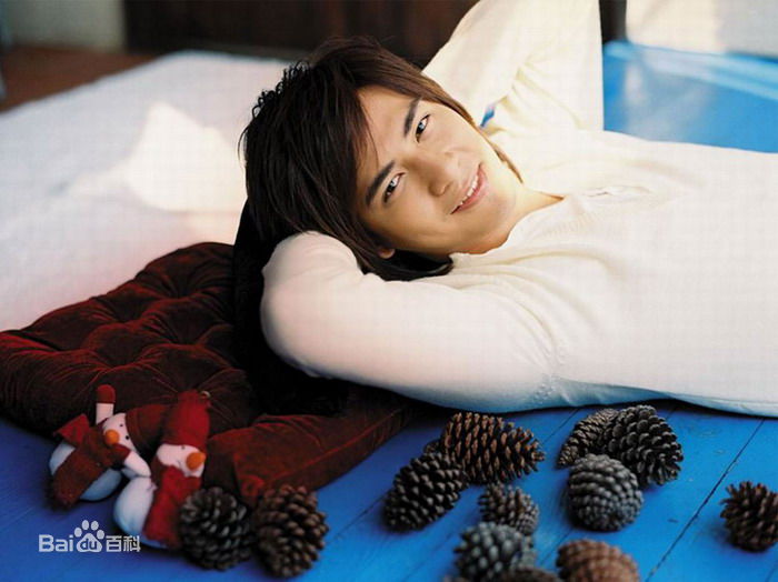 周渝民(Vic Zhou)出道初期性感图片图集