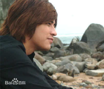 周渝民(Vic Zhou)电视作品（2001-2010）素颜照相册