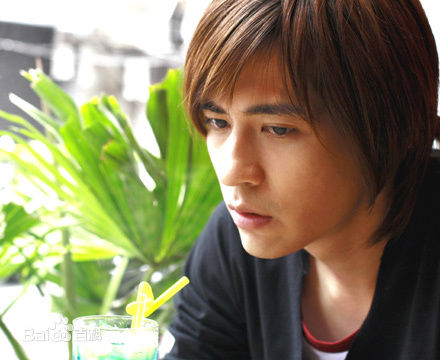 周渝民(Vic Zhou)电视作品（2001-2010）素颜照相册