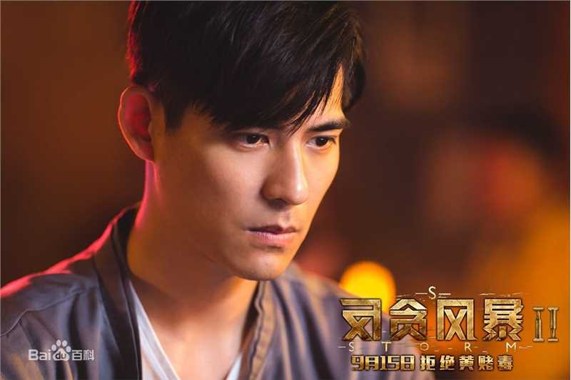 周渝民(Vic Zhou)电影电视作品（2008-2013）图册