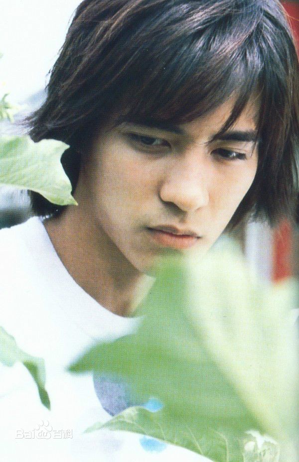 周渝民(Vic Zhou)前后照片