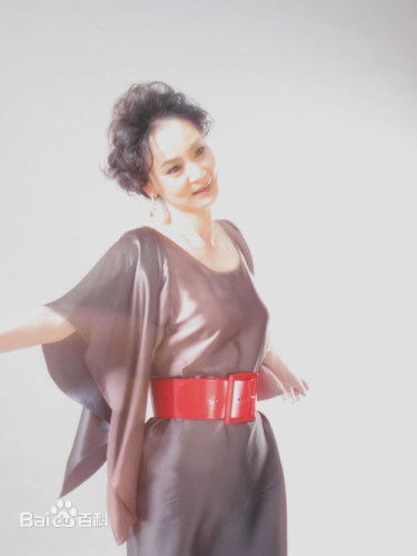 刘雪华(Leanne Lau)照