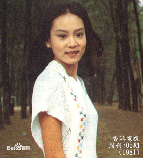 刘雪华(Leanne Lau)电视剧作品（1981-1989）壁纸壁纸