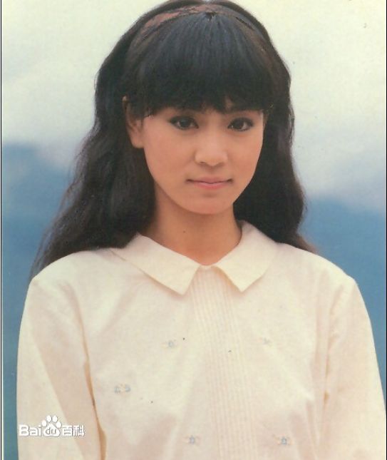 刘雪华(Leanne Lau)电视剧作品（1981-1989）壁纸壁纸