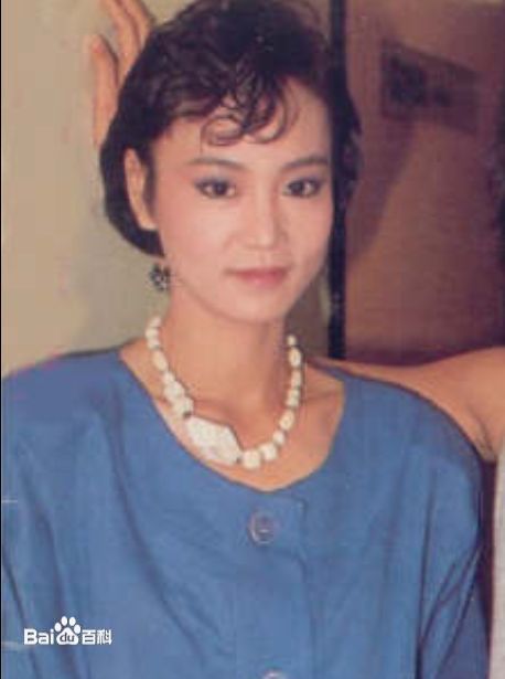 刘雪华(Leanne Lau)电视剧作品（1981-1989）壁纸壁纸