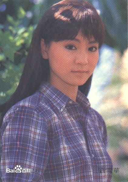 刘雪华(Leanne Lau)电视剧作品（1981-1989）壁纸壁纸