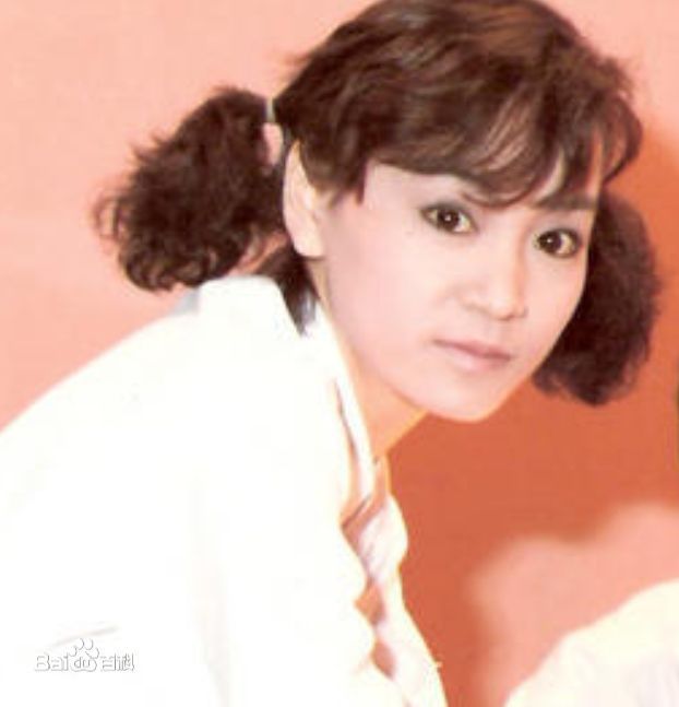 刘雪华(Leanne Lau)电视剧作品（1981-1989）壁纸壁纸