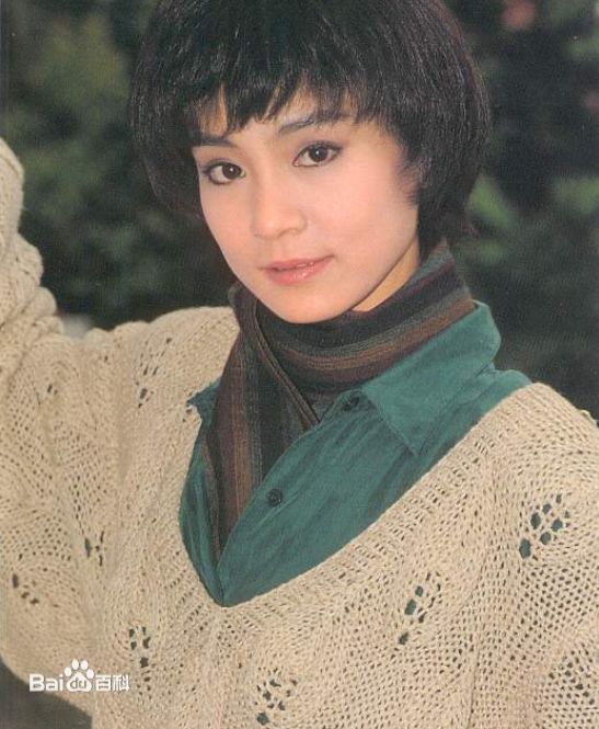 刘雪华(Leanne Lau)电视剧作品（1981-1989）壁纸壁纸