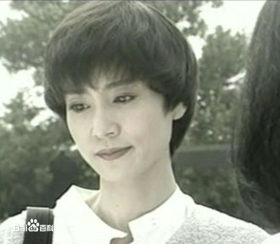 刘雪华(Leanne Lau)电视剧作品（1990-2000）前后照片