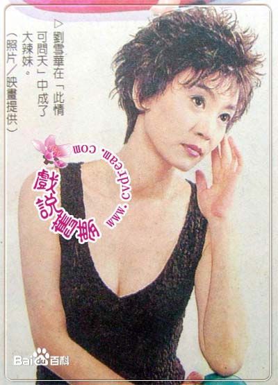 刘雪华(Leanne Lau)电视剧作品（1990-2000）前后照片