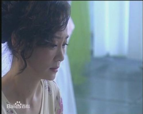 刘雪华(Leanne Lau)电视剧作品（2001—2017）素颜照相册