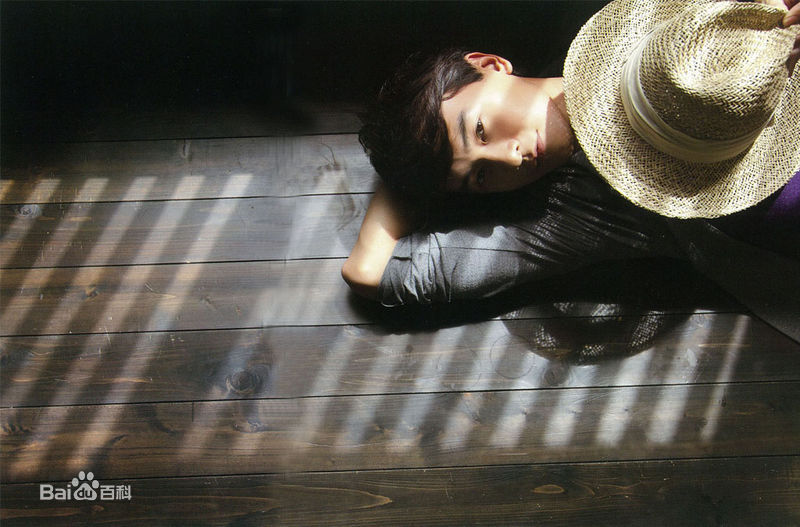 最优质郑元畅(Joseph Cheng)精彩图册