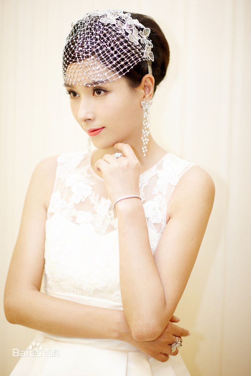 杨恭如(Kristy Yang)出席活动壁纸壁纸