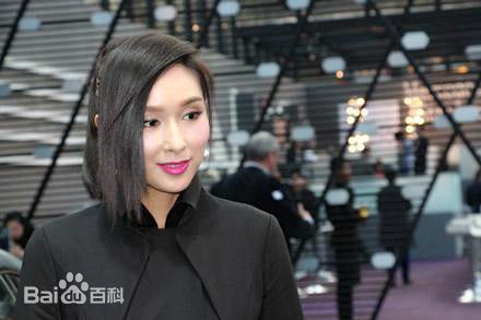 杨恭如(Kristy Yang)出席活动壁纸壁纸