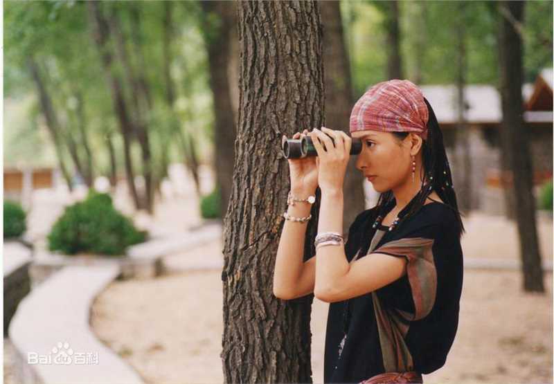 杨恭如(Kristy Yang)高清剧照