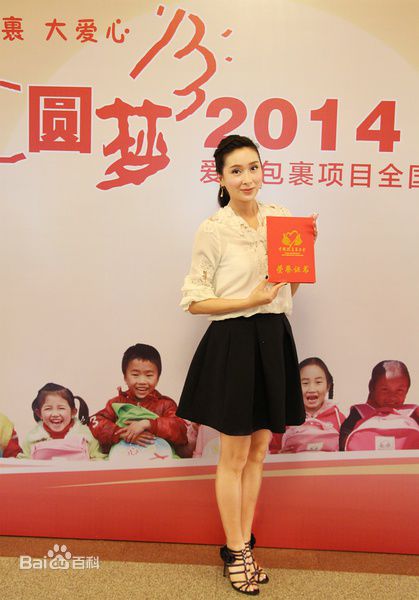 杨恭如(Kristy Yang)社会活动记录壁纸壁纸