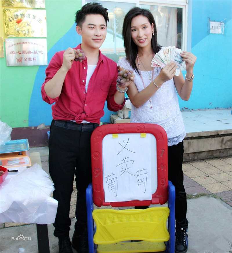 杨恭如(Kristy Yang)社会活动记录壁纸壁纸