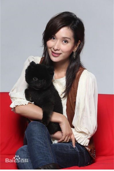 杨恭如(Kristy Yang)社会活动记录壁纸壁纸