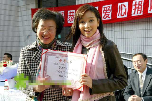 杨恭如(Kristy Yang)社会活动记录壁纸壁纸