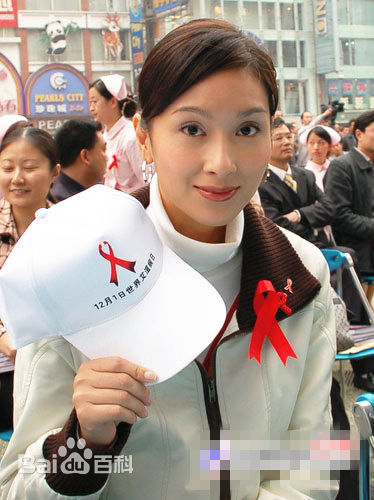 杨恭如(Kristy Yang)社会活动记录壁纸壁纸