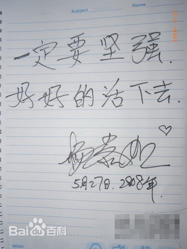 杨恭如(Kristy Yang)社会活动记录壁纸壁纸