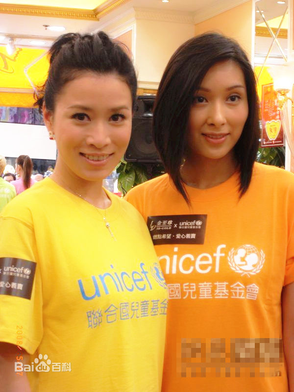 杨恭如(Kristy Yang)社会活动记录壁纸壁纸