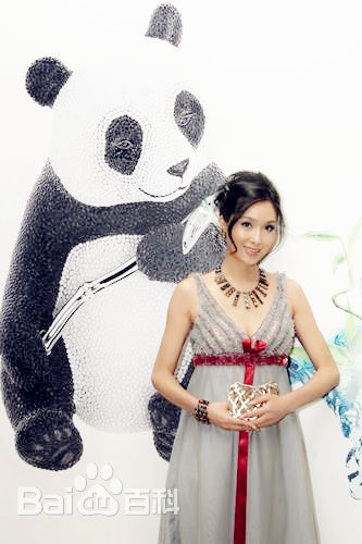 杨恭如(Kristy Yang)社会活动记录壁纸壁纸