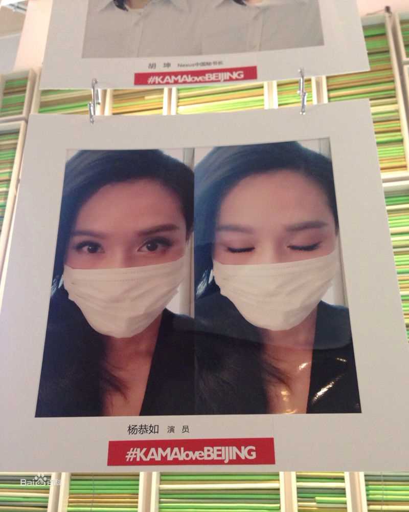 杨恭如(Kristy Yang)社会活动记录壁纸壁纸