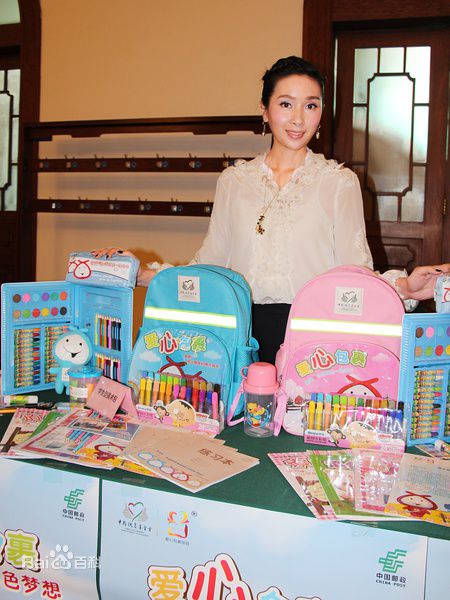 杨恭如(Kristy Yang)社会活动记录壁纸壁纸