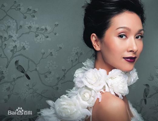 最全杨恭如(Kristy Yang)精彩图册