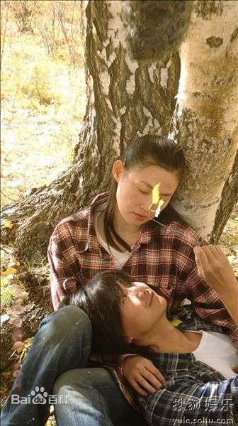 王思懿(Brenda)参演电影作品（2003-2010）壁纸壁纸