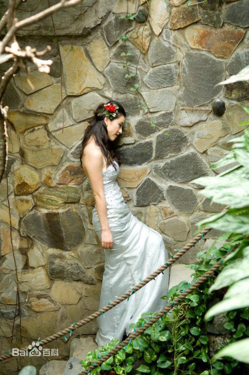 黄小蕾(Huang Xiaolei)越南之旅图片图集