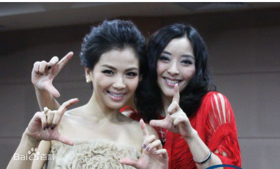 黄小蕾(Huang Xiaolei)2011年《钱多多嫁人记》最优质剧照