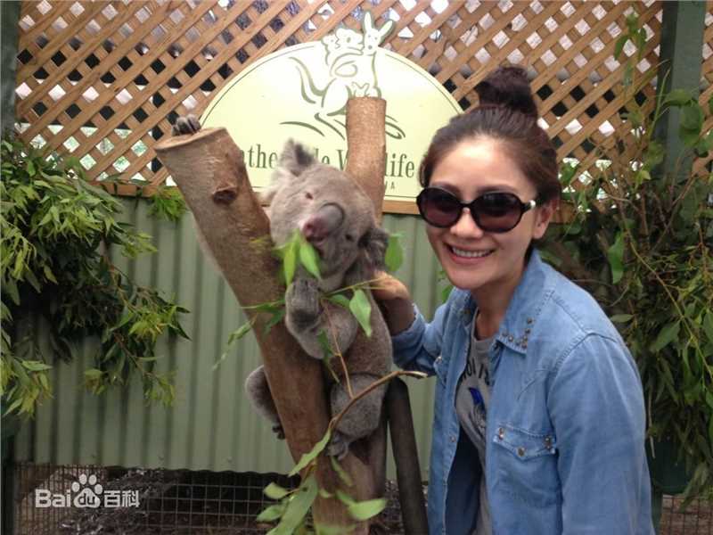 胡可旅游壁纸壁纸